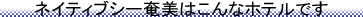 �l�C�e�B�u�V�[�����͂���ȃz�e���ł�