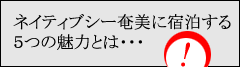 �l�C�e�B�u�V�[�����ɏh������T�̖��͂Ƃ́E�E�E