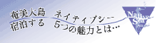 �����哇�z�e���A�l�C�e�B�u�V�[�����ɏh������T�̖��͂Ƃ́E�E�E