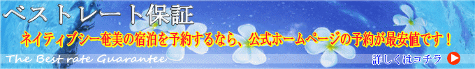 �����哇�@�z�e�����]�[�g�@�l�C�e�B�u�V�[�����̍ň��l�h������