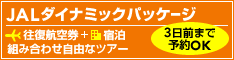 JAL�_�C�i�~�b�N�p�b�P�[�W�ŉ����̃z�e���������ɏh����