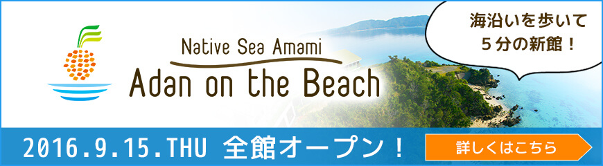 奄美大島のホテル、ネイティブシー奄美アダンオンザビーチの詳細はこちら