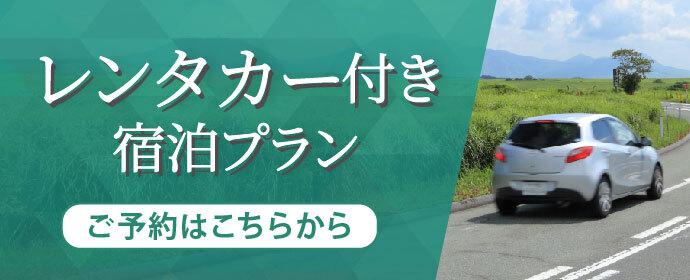 レンタカー付き宿泊プラン