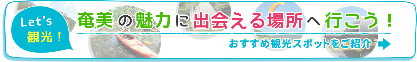 おすすめ観光スポットをご紹介